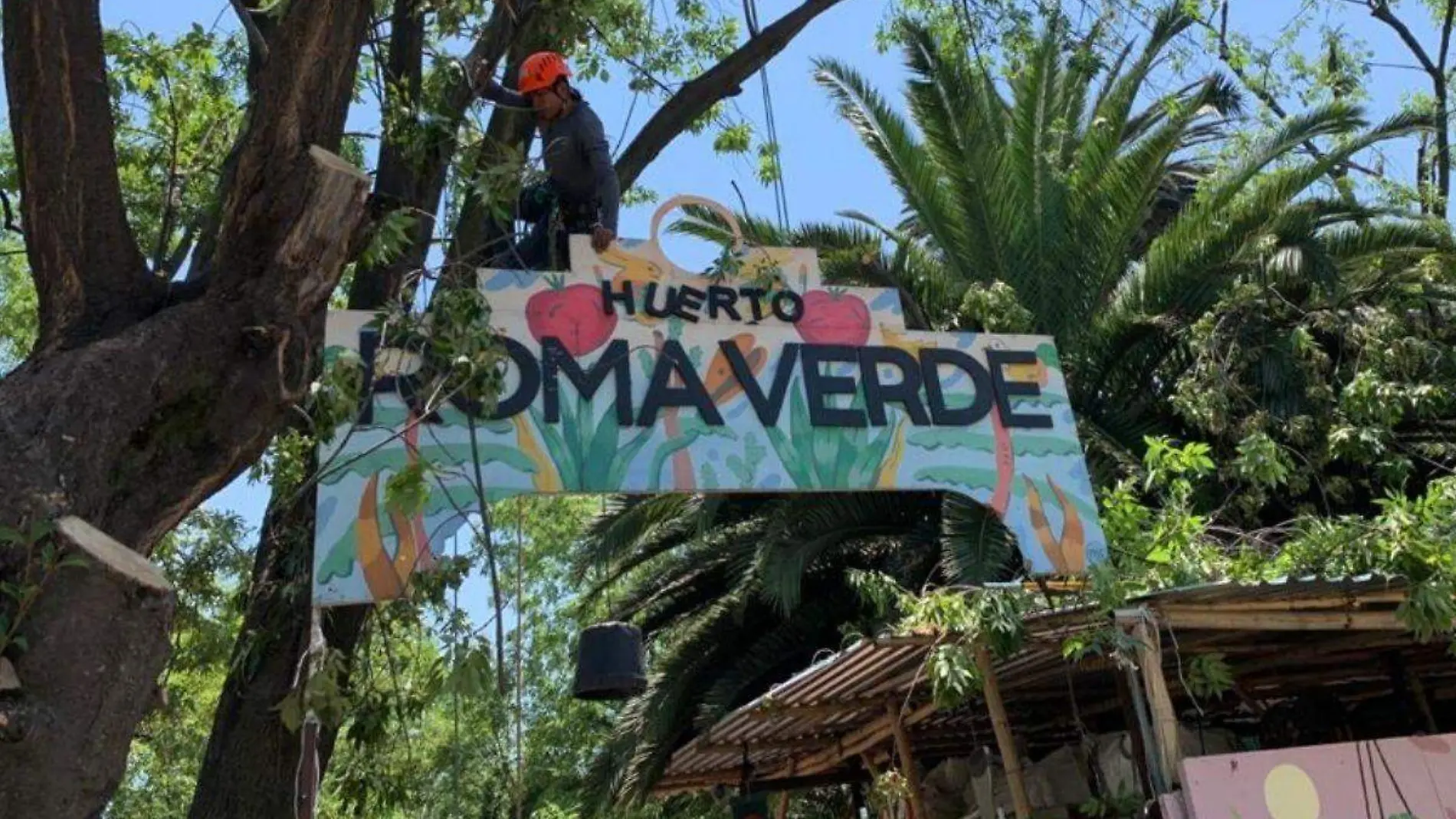 Festival Arte y Medio Ambiente, un llamado a frenar el cambio climático en la CDMX